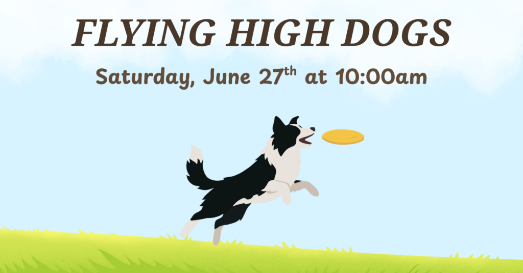 flying high dogs show. click to learn more.